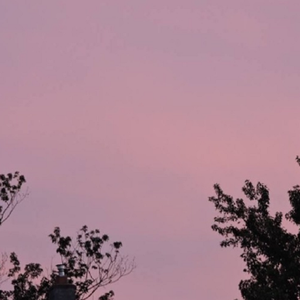 艹逼的视频日本高清
